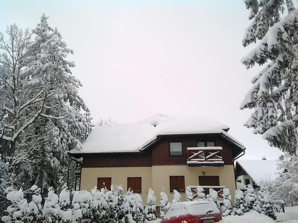 Apartment Gledovic Zlatibor Kültér fotó