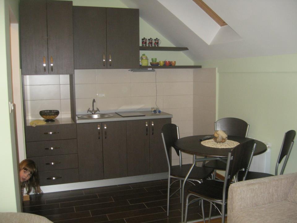 Apartment Gledovic Zlatibor Kültér fotó