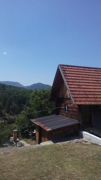 Apartment Gledovic Zlatibor Kültér fotó
